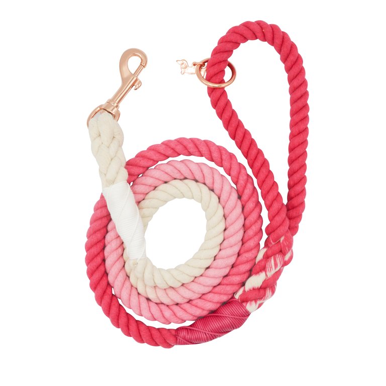 Rope Leash - Ombre Pink - Multi