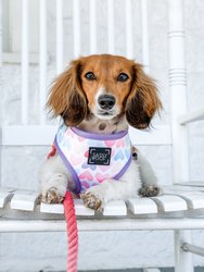 Rope Leash - Ombre Pink