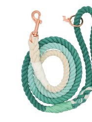 Rope Leash - Ombre Teal - Multi