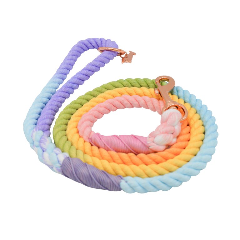 Rope Leash - Piñata