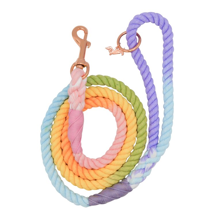 Rope Leash - Piñata - Multi