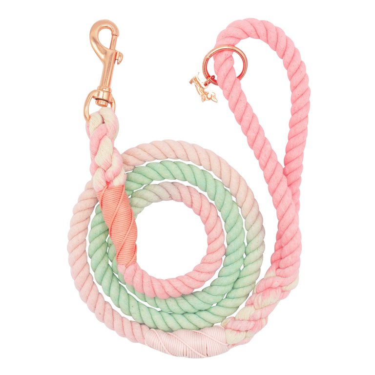 Rope Leash - Sherbet - Multi