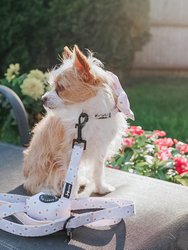 Waste Bag Holder - Dainty Daisy