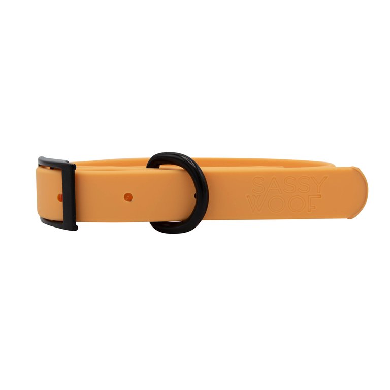 Waterproof Collar - Orange