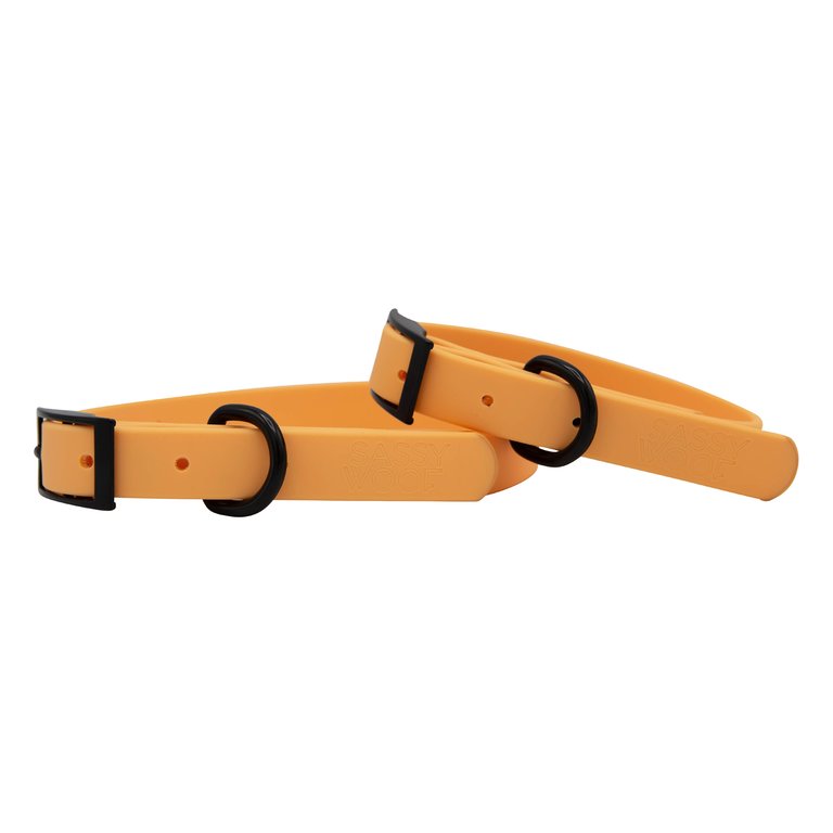Waterproof Collar - Orange - Orange