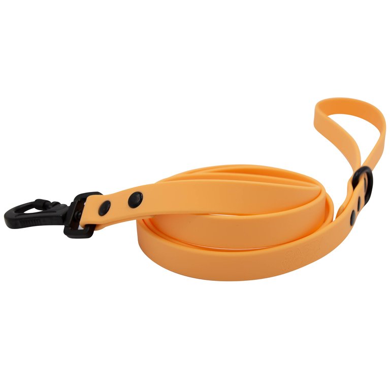 Waterproof Leash - Orange - Orange