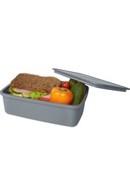 Seasons Dovi Plastic Lunch Box