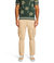 Calan Polo In Palm Tree Jacq Green