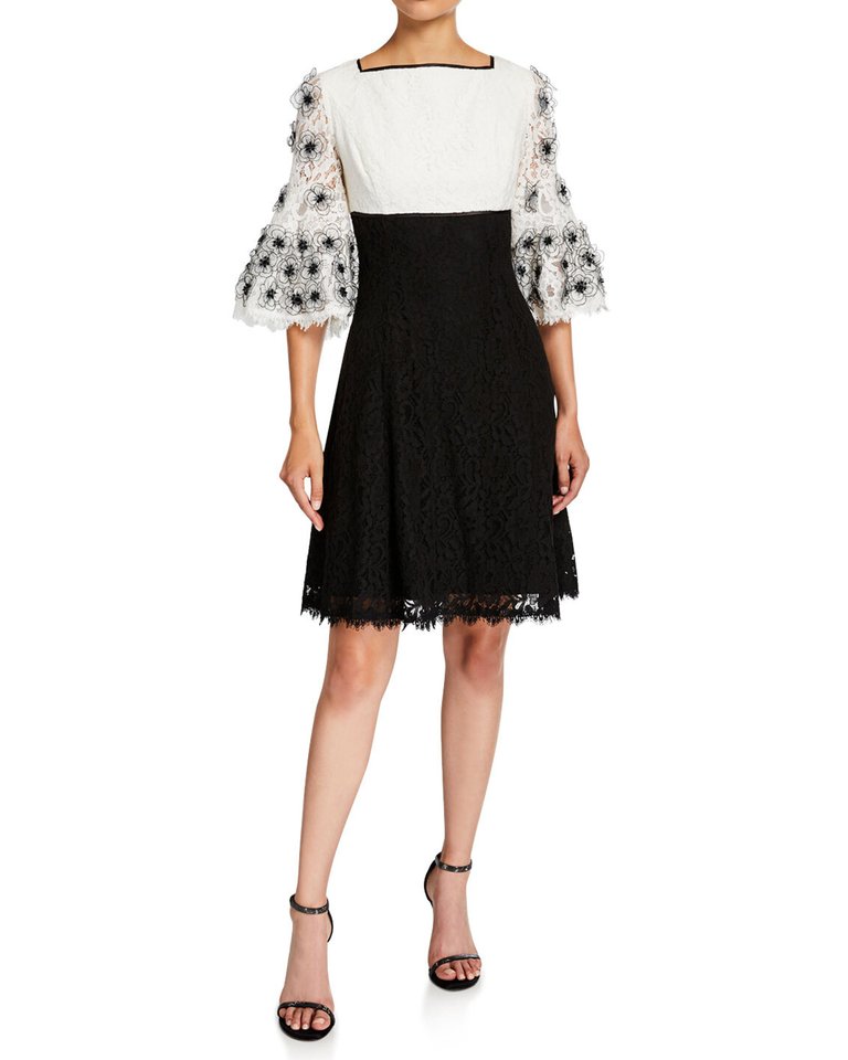 Colorblock Fit and Flare Lace Dress - Black/White