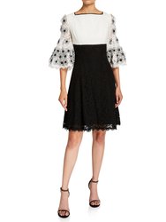 Colorblock Fit and Flare Lace Dress - Black/White