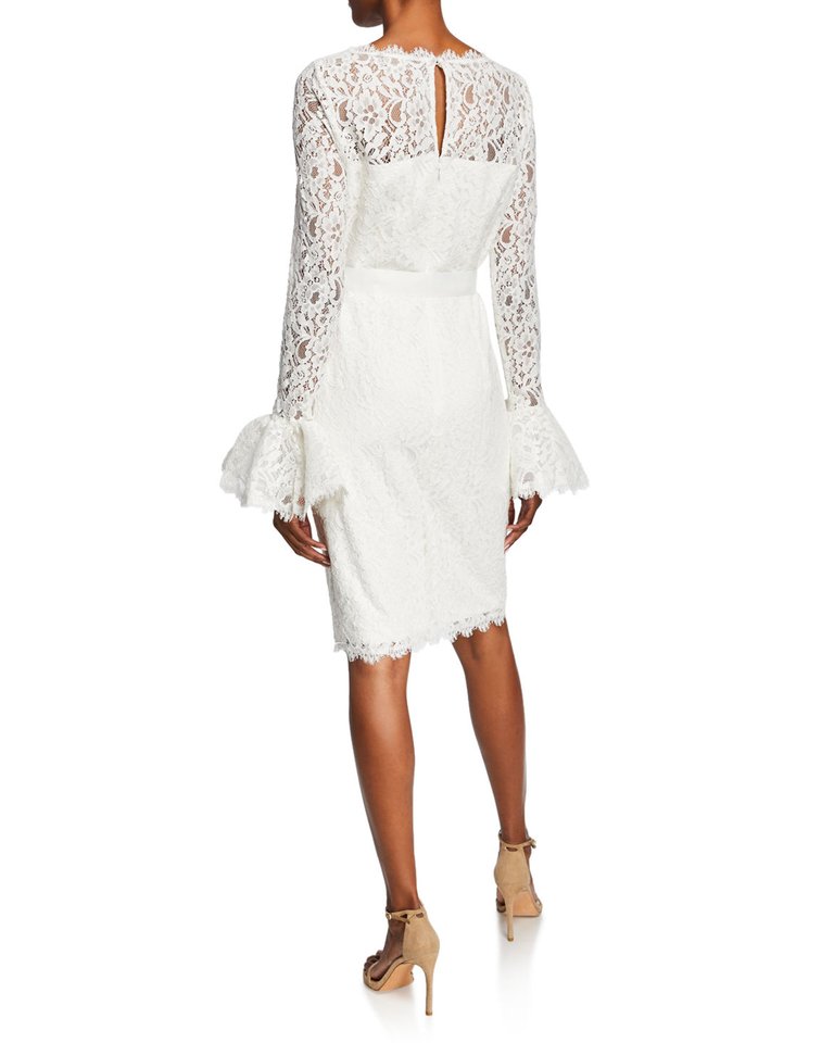 Ruffle Sleeve Lace Sheath Dress