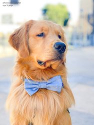 Blue Herringbone Flannel Dog Bow Tie