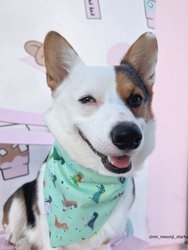 Jurassic Bark Dog Bandana