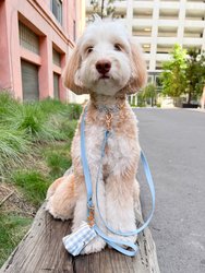 Malibu Blue Gingham Dog Collar