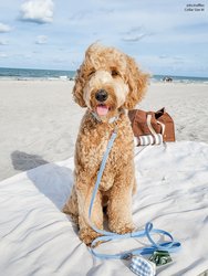 Malibu Blue Waterproof Cloud Dog Leash