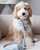 Malibu Blue Waterproof Cloud Dog Leash