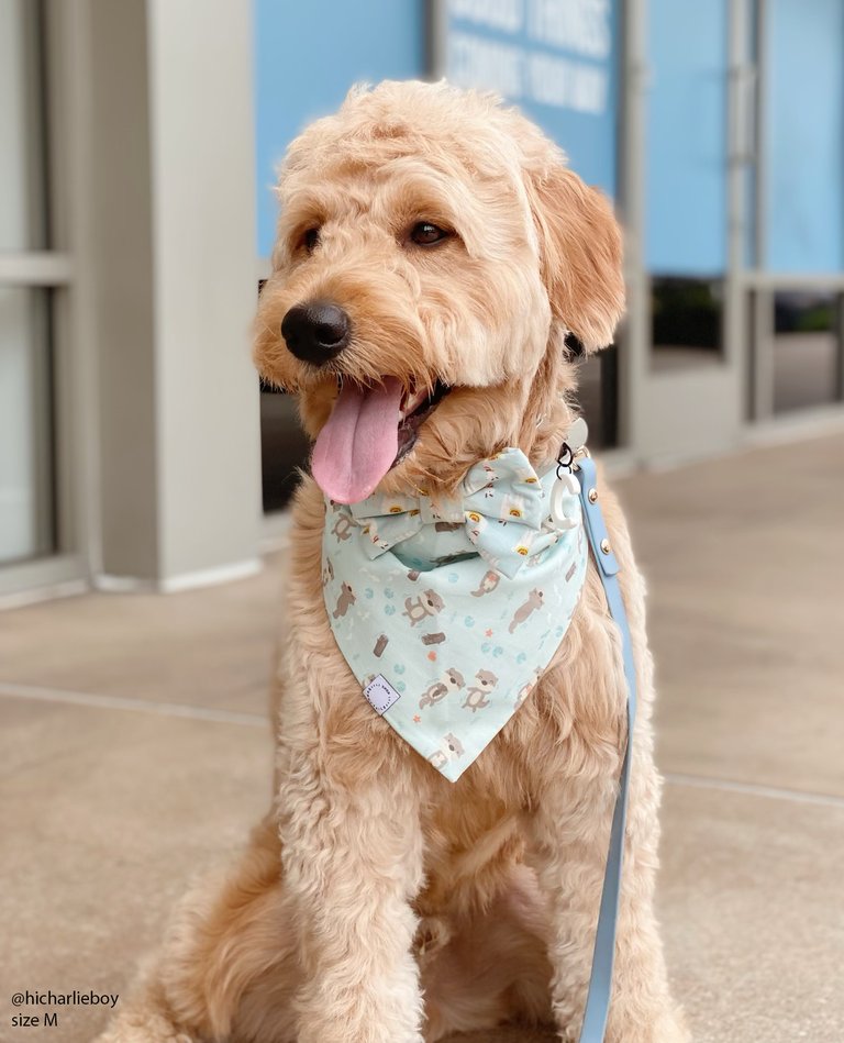 My Otter Half Dog Bandana