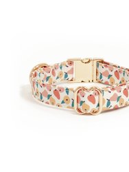 Peaches & Pears Dog Collar