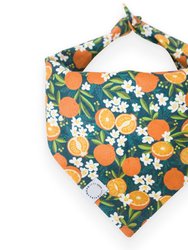 Simply The Zest Oranges Dog Bandana - The Zest Oranges