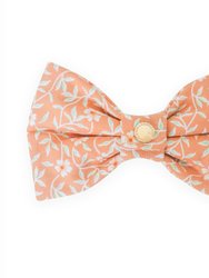 Sunkissed Daisies Orange Dog Bow Tie