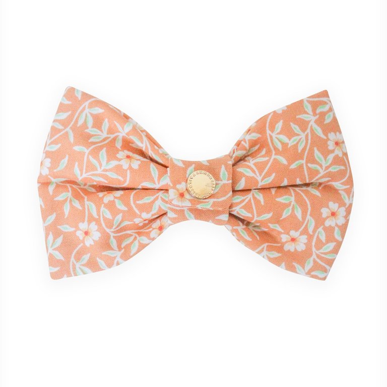 Sunkissed Daisies Orange Dog Bow Tie