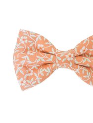 Sunkissed Daisies Orange Dog Bow Tie - Sunkissed Daisies