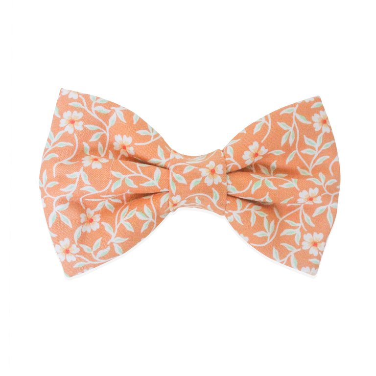 Sunkissed Daisies Orange Dog Bow Tie - Sunkissed Daisies