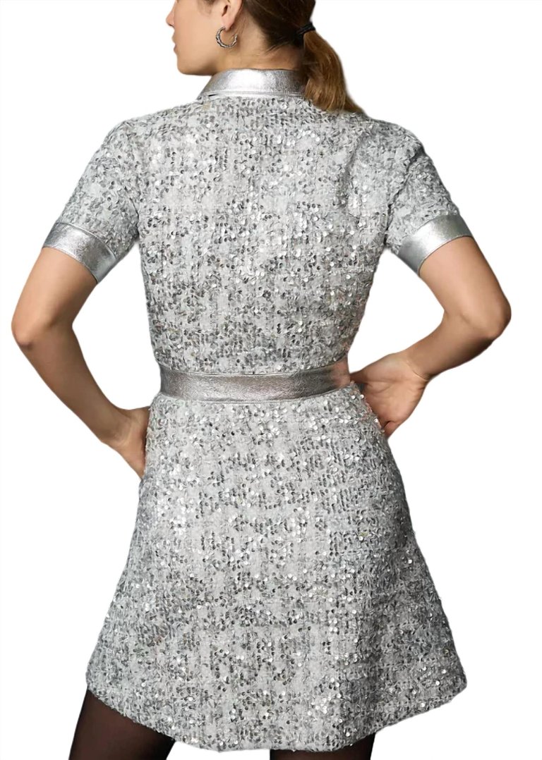 Ricky Dress In Silver