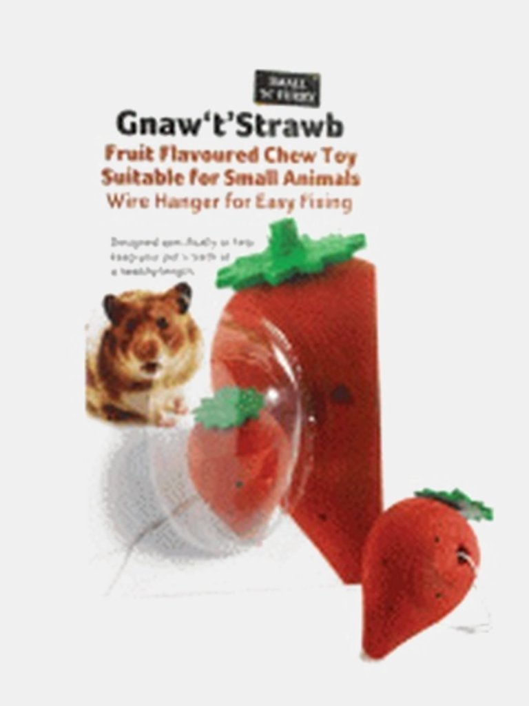 Small N Furry Gnaw T Strawberry Toy (May Vary) (2 inch)