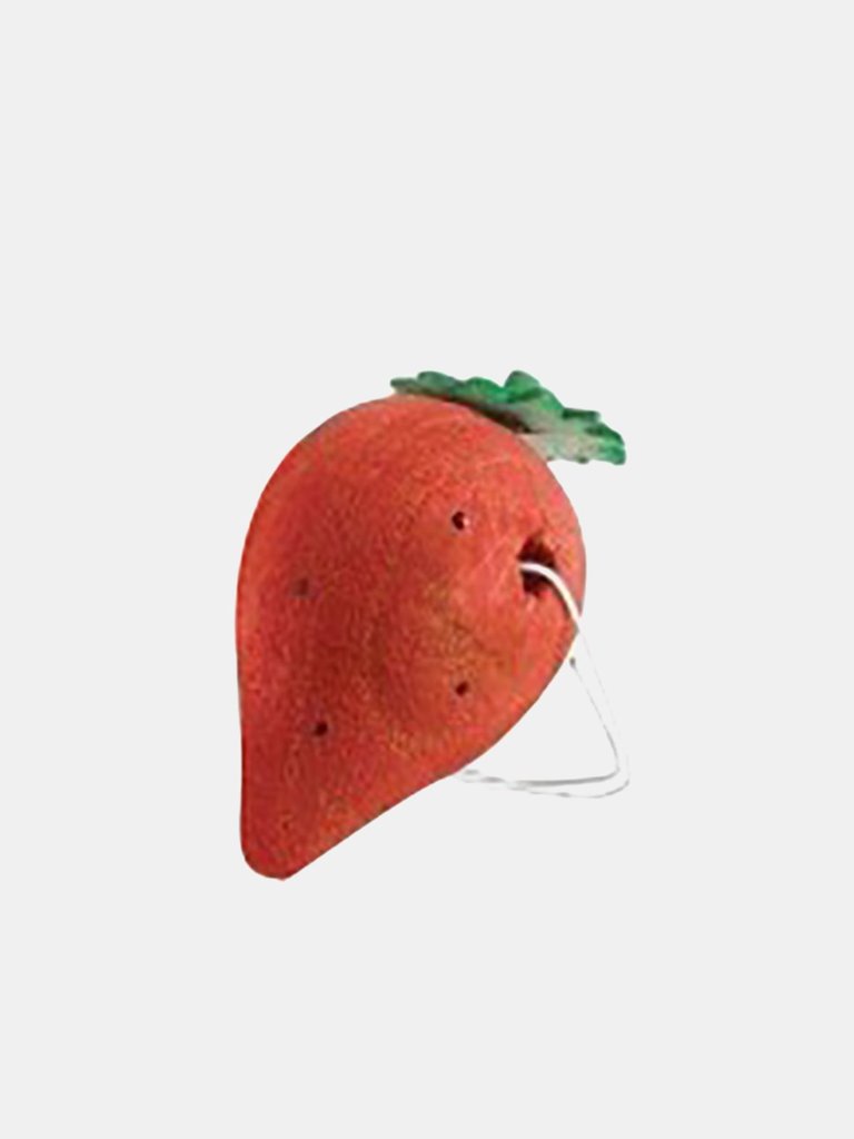 Small N Furry Gnaw T Strawberry Toy (May Vary) (2 inch)