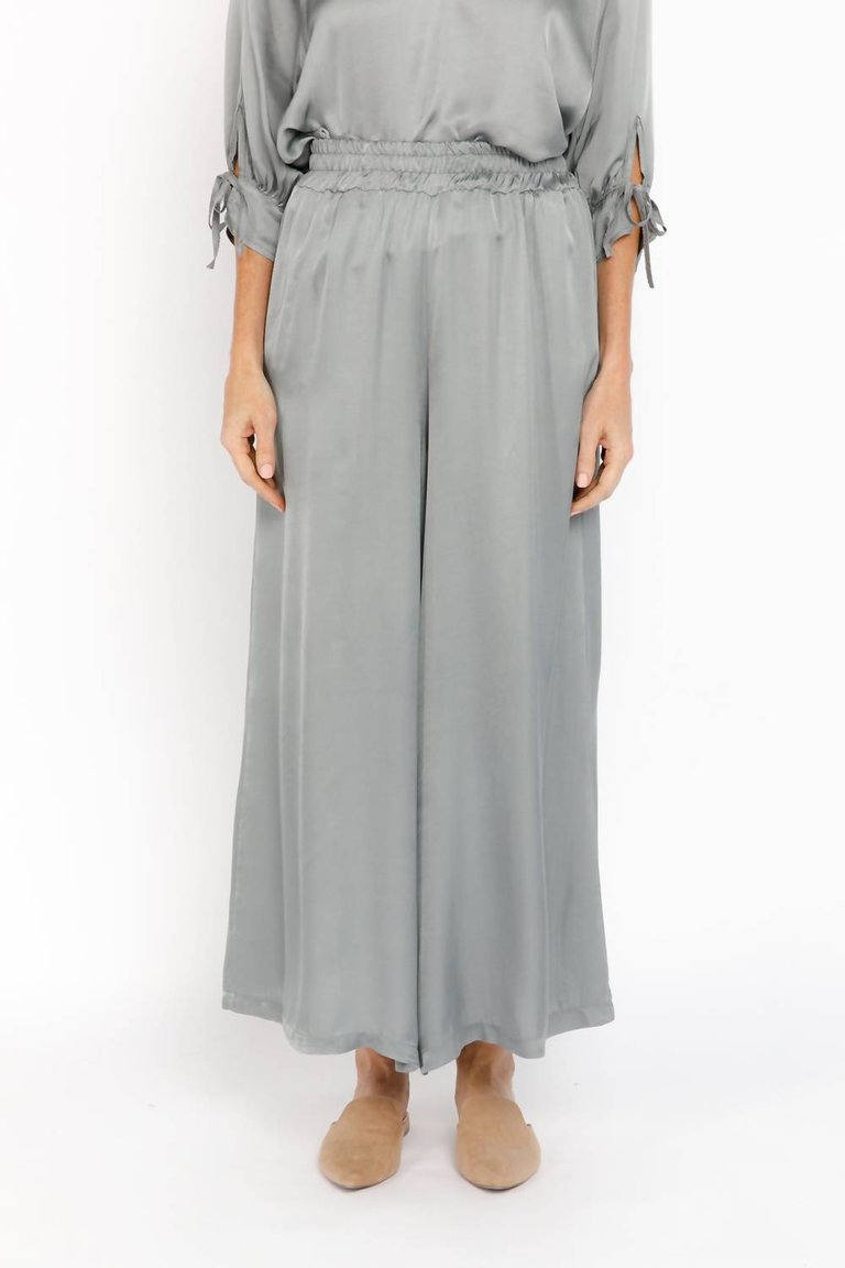 Clarise Pants In Grey