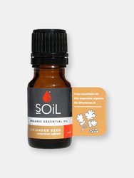 Organic Coriander Seed Essential Oil (Coriandrum Sativum) 10ml