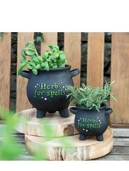 Herbs For Spells Cauldron Plant Pot