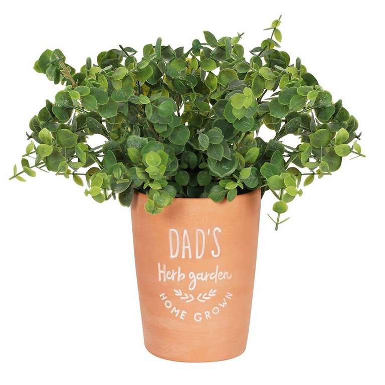 Something Different Dads Herb Garden Plant Pot (Terracotta) (One Size) - Terracotta