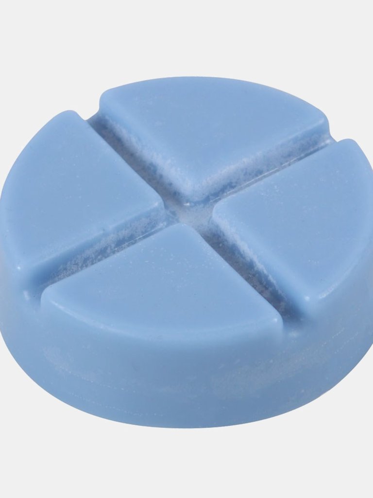 Thunderstorm Disc Soy Wax Wax Melts - One Size