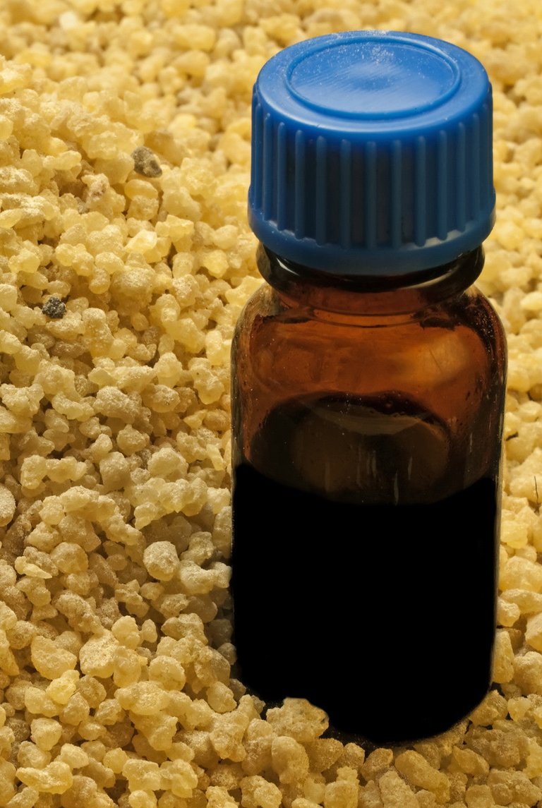 Frankincense Essential Oil (Wild Crafted)