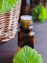 Geranium Essential Oil