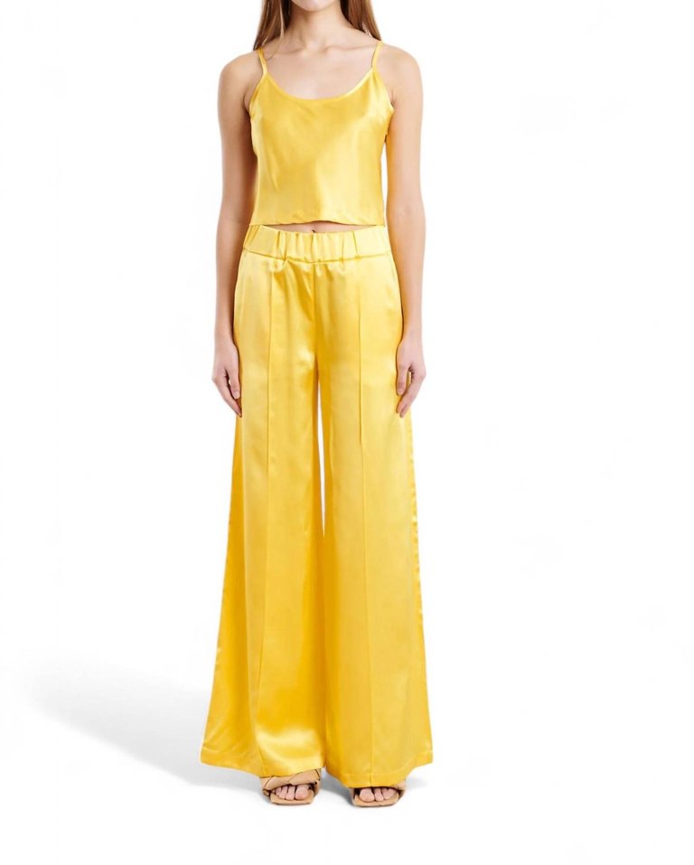 Wide Leg Pintucks Pant In Yellow - Yellow