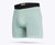 Men's Skin Deep Boxer Briefs In Turquoise - Turquoise