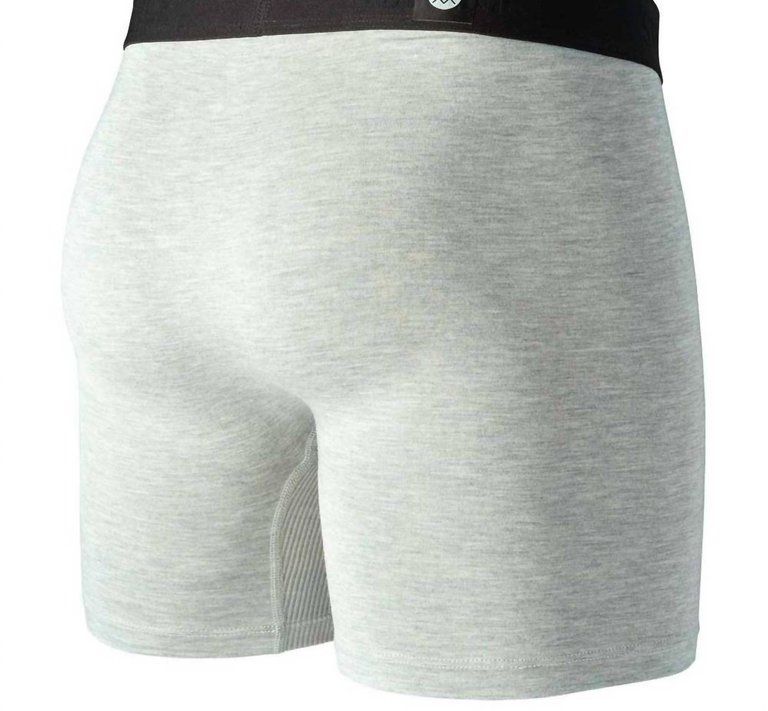 Men's Standard Boxer Briefs In Grey