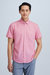 Phoenix Short Sleeve Shirt - Dark Pink - Dark Pink