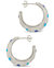 Verena Hoops