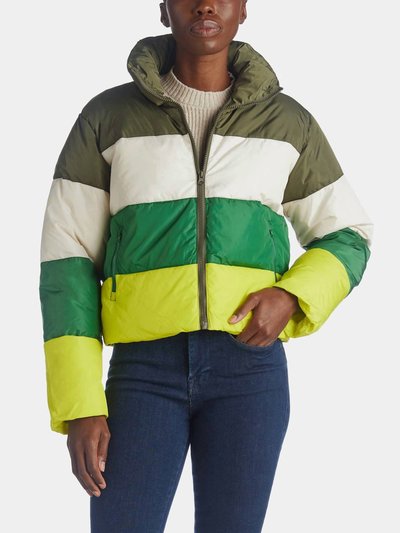 Steve Madden Daisy Colorblocked Jacket product