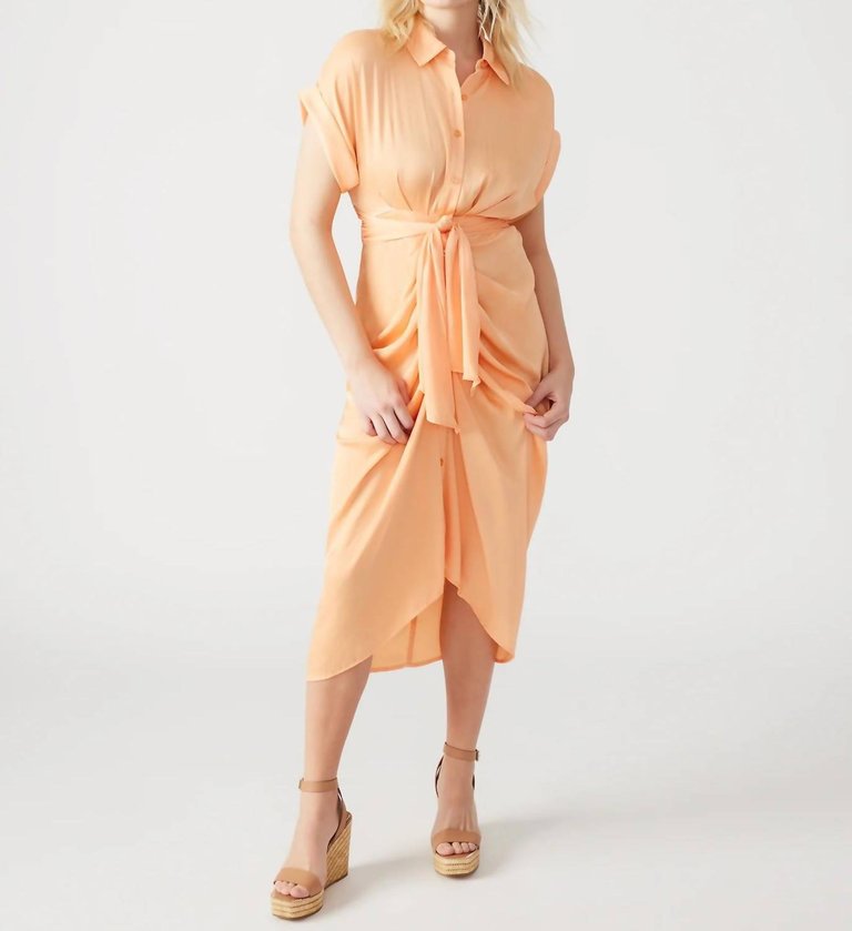 Tori Dress In Salmon - Salmon