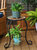 12-Inch Mosaic Slate Tile Side Table/ Plant Stand - Steel Frame