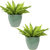 2 Pack Ceramic Ocean Villa Indoor / Outdoor Planters - 11.75"