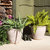 2 Pack Ceramic Ocean Villa Indoor / Outdoor Planters - 11.75"