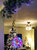 5-Inch Indoor/Outdoor Lighted Ball Hanging Decor