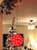 5-Inch Indoor/Outdoor Lighted Ball Hanging Decor