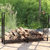 6ft Firewood Rack Log Storage Holder Black Steel Indoor Outdoor Accessory